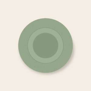 Illustration fictive : assiette maree